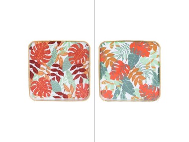 PLATEAU CARRE AMAZONIA 35 ASS