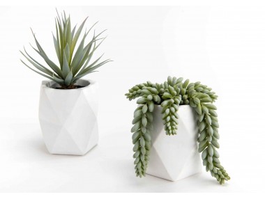 CACTUS POT NATA VERT/BLANC