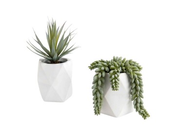 CACTUS POT NATA VERT/BLANC