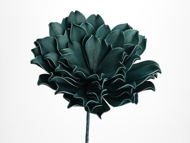 FLEURS JADA