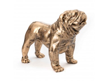 BULLDOG USA FUN GALLERY...