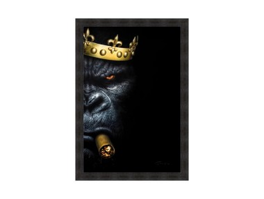 THE KING 80X120-CS NEWTON