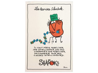 Torchon Shadoks Einstein...