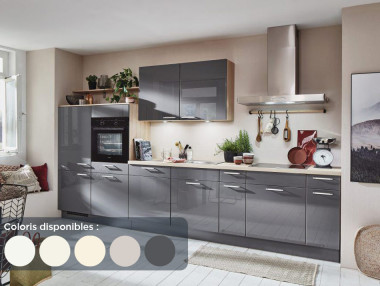 Cuisine Concept Flash