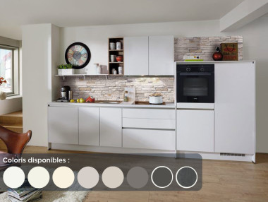 Cuisine Concept Laser