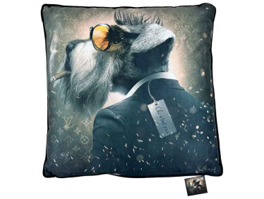 COUSSIN CHIC À TOUT PRIX