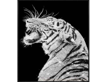 TABLEAU 175 TIGRE