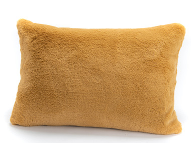 COUSSIN