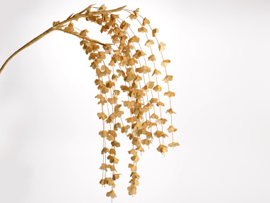 CHUTE FLEURS MARGA