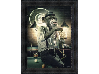 SINGE BILLARD 14.1827