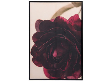 TOILE PIVOINE SUR VELOURS