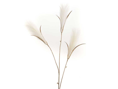 ROSEAU VINTAGE CREME