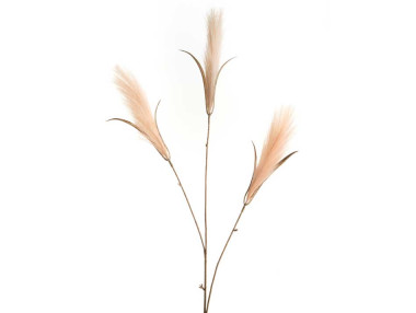 ROSEAU VINTAGE MARRON CLAIR