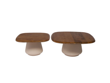 LOT DE 2 TABLES BASSES TODETTE