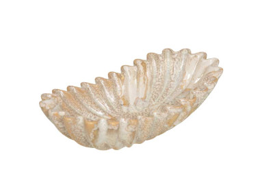 COUPE LONGUE OCEANIA