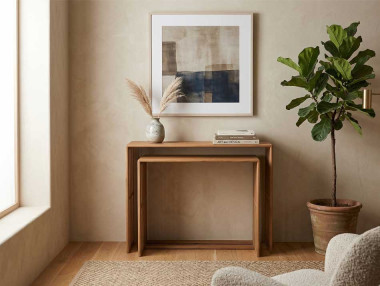 SET DE 2 CONSOLES CALOPSITE