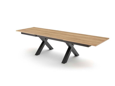 TABLE AVEC ALLONGES