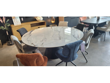TABLE AVEC ALLONGES