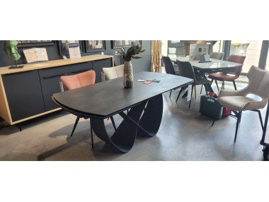 TABLE AVEC ALLONGES