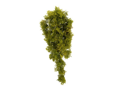 PIQUET MOUSSE LICHEN