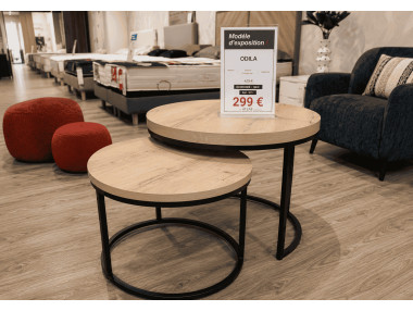 2 TABLES BASSES RONDES