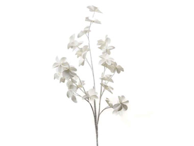 FLEUR ALMA