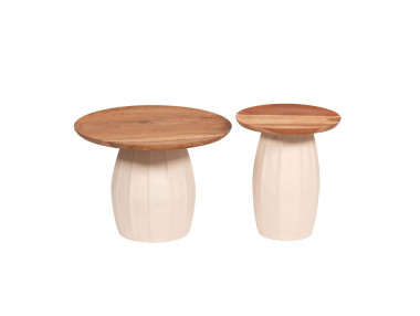 LOT DE 2 TABLES BASSES...