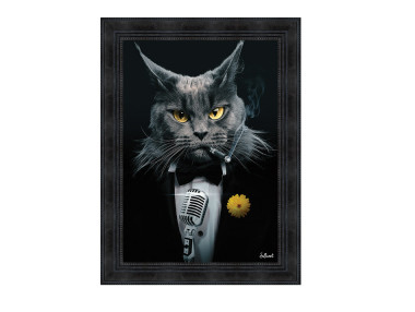 CHAT CHANTEUR