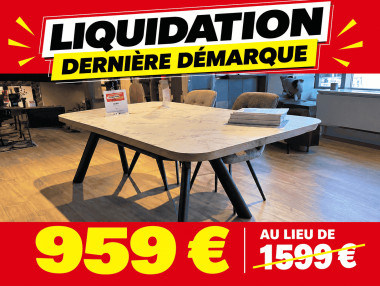 TABLE AVEC ALLONGES PAPILLONS