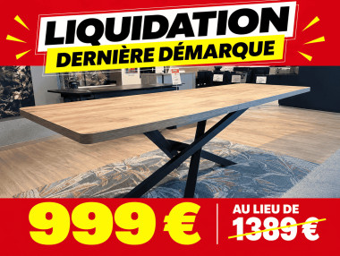 TABLE CERAMIQUE AVEC 2...