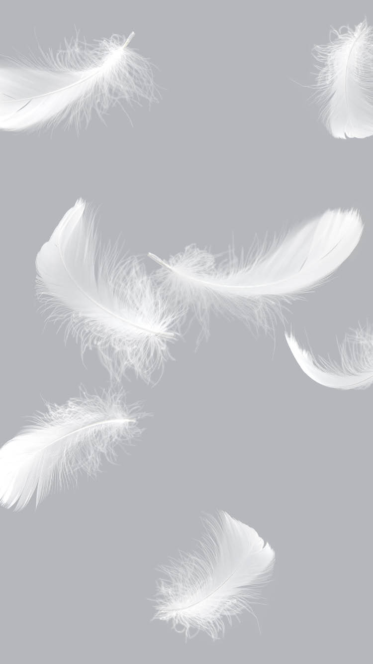 Light fluffy a white feathers floating on gray as background.