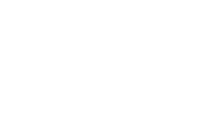 40%