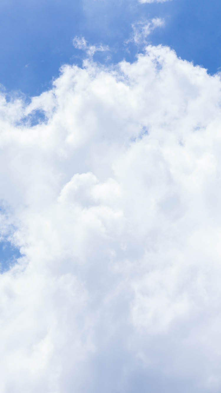 parallax image