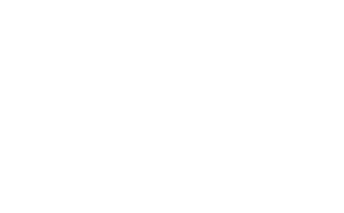 40%